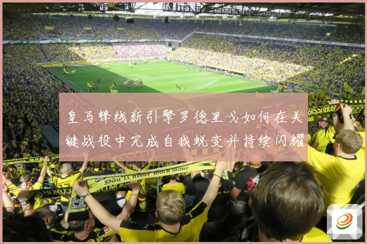 皇马锋线新引擎罗德里戈如何在关键战役中完成自我蜕变并持续闪耀欧洲足坛
