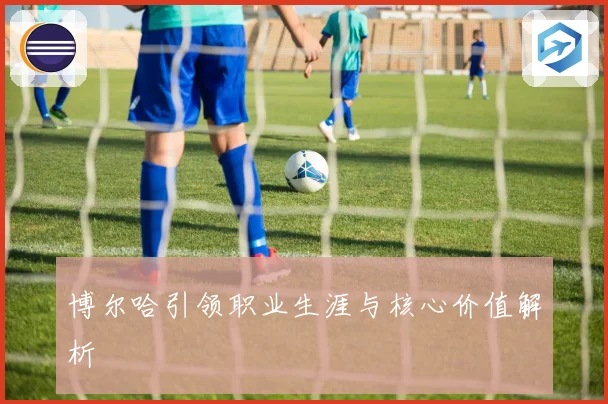 博尔哈引领职业生涯与核心价值解析