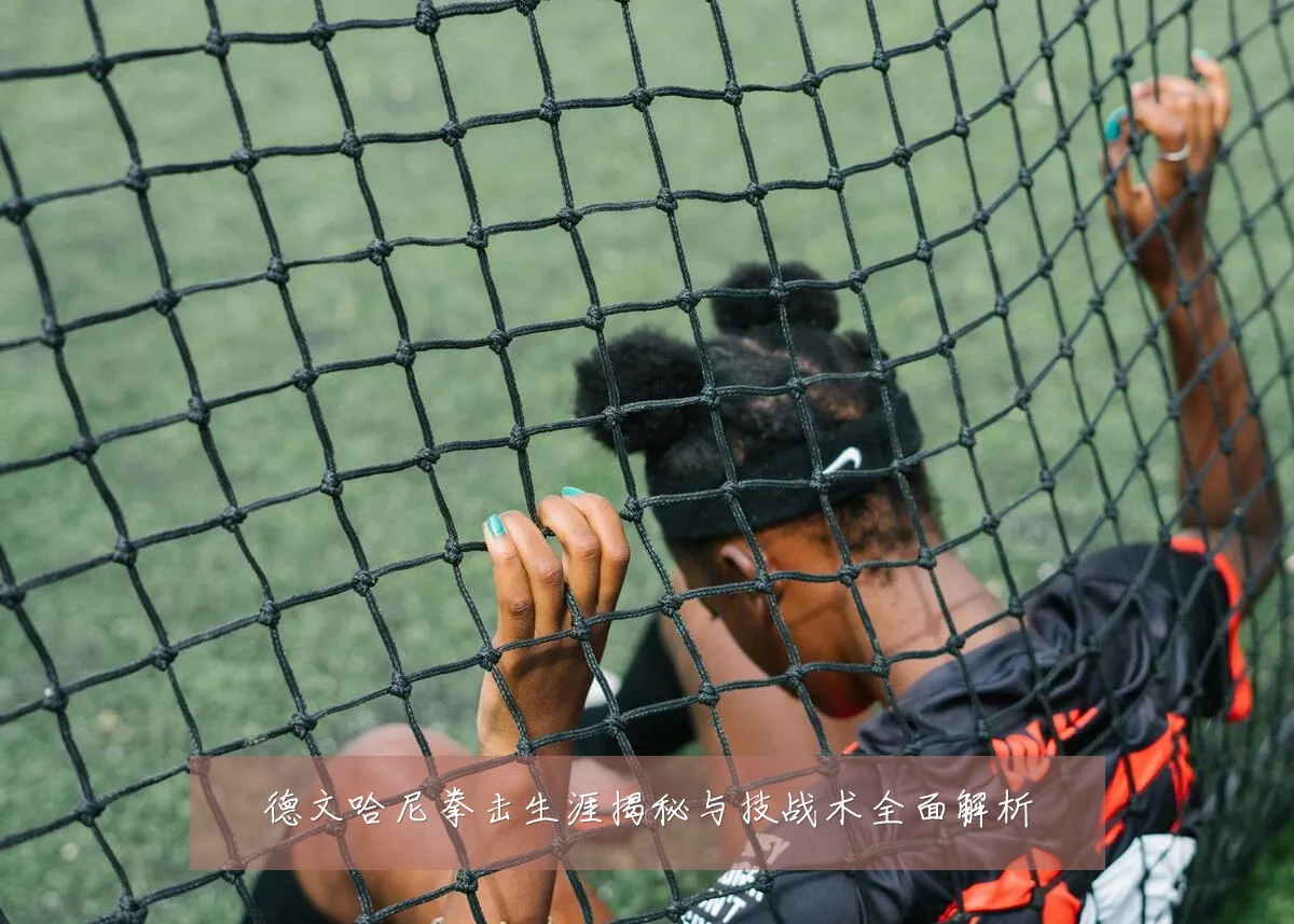 德文哈尼拳击生涯揭秘与技战术全面解析