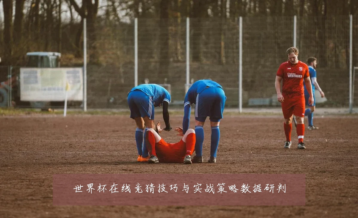 世界杯在线竞猜技巧与实战策略数据研判