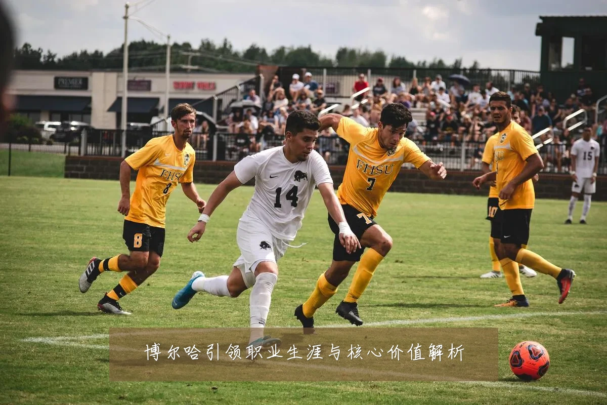 博尔哈引领职业生涯与核心价值解析